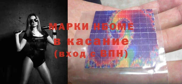 хмурый Осинники