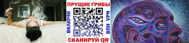 Галлюциногенные грибы ЛСД Слюдянка